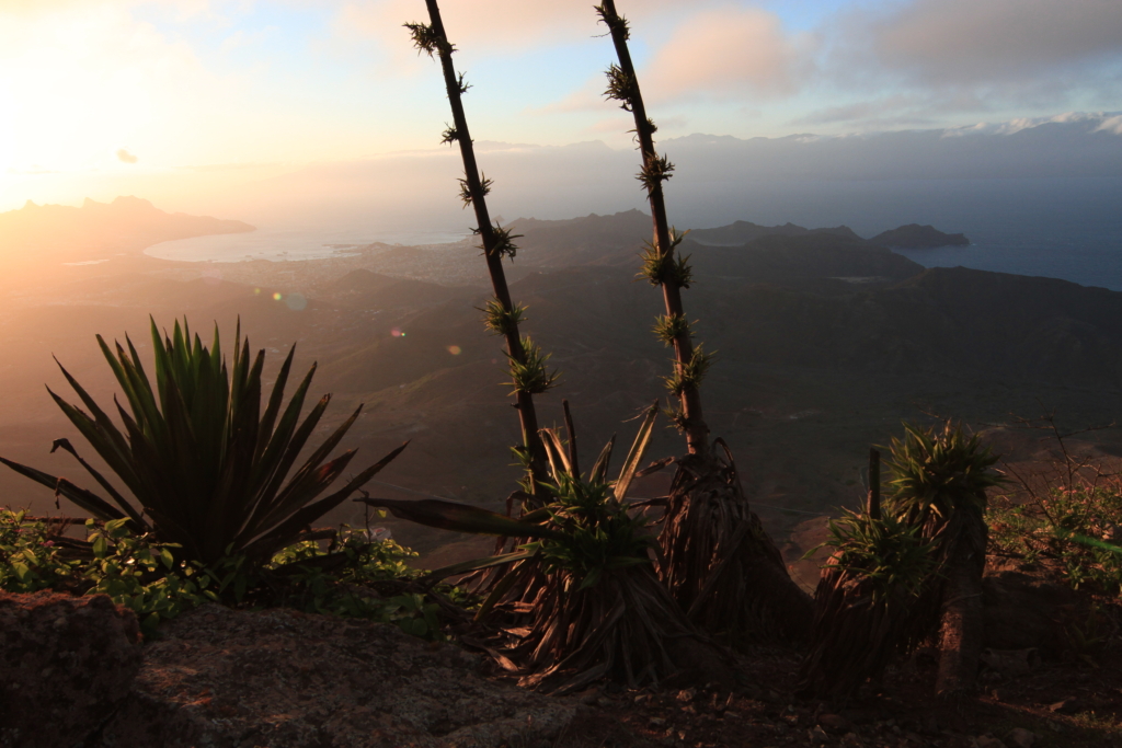 Monte Verde São Vicente