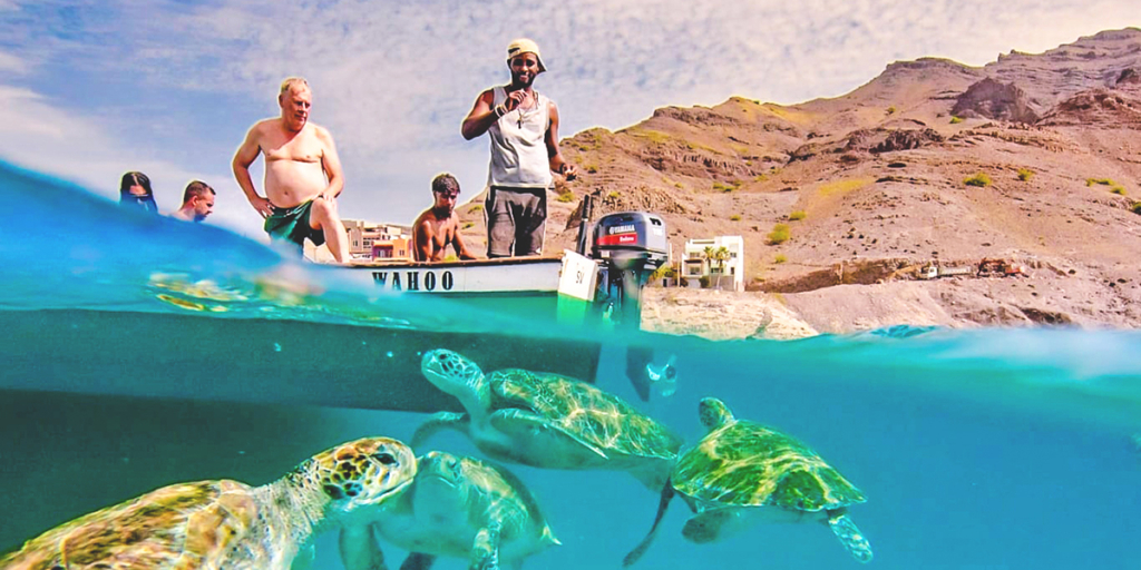 Atividade para ver tartarugas em São Pedro